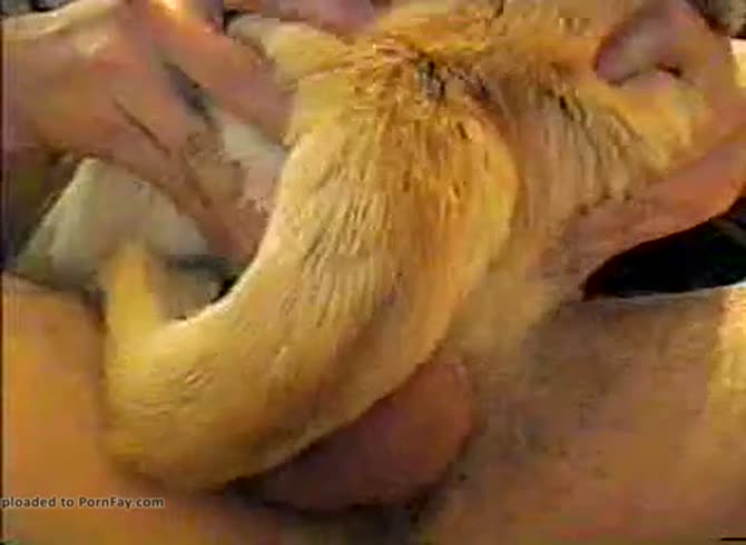 Popular Blowjob and Rimjob licking ass and swallowing cum in mouth HD XXX Video 6:03