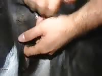 Animal Fuck GayBeast.com - Men Fucks Pet