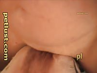 Animalboy Dog Film 1- Bestiality Porn With Dude