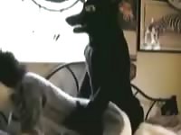 Anubis Yiffing Ahote Wolf Gay Beast Com - Man Fucks Pet
