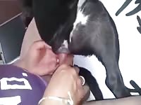 Asian Guys GayBeast Rip - Animal Sex With Men