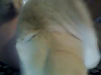 Ass Ball Lick