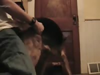 Azga GayBeast Rip - Men Fucks Animal