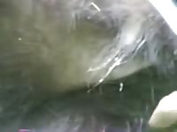 Bear Coming GayBeast - Dude Fucks Pet