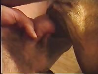 Big Bitch Pussy GayBeast.com - Animal Porn With Dude