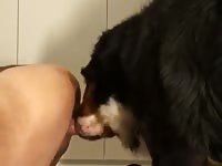 Big Dog Gives Good Fuck GayBeast - Dude Fucks Animal