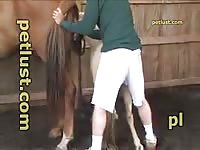 Bisexual Horse Fuck Petlust