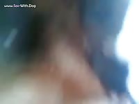 Bitch And Pups And Cock Tundra Foxie Making Feeding Pups- Bestiality Porn Tube With Men - Extrem Sex and Taboo Porn.