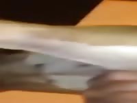 Bitch Fucking At A House Party GayBeast.com - Animal Porn Video With Boy- Men Fucks Pet