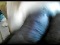 Black Big Dick 5 Gay Beast Com - Dude Fucks Pet