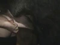 Boar Screws Man GayBeast - Men Fucks Pet