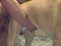 Bottom Dog 3 Gay Beast Com - Beastiality Porn Movie With Boy