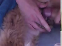 Boy And Bitch GayBeast.com - Zoophilia Sex Tube With Boy