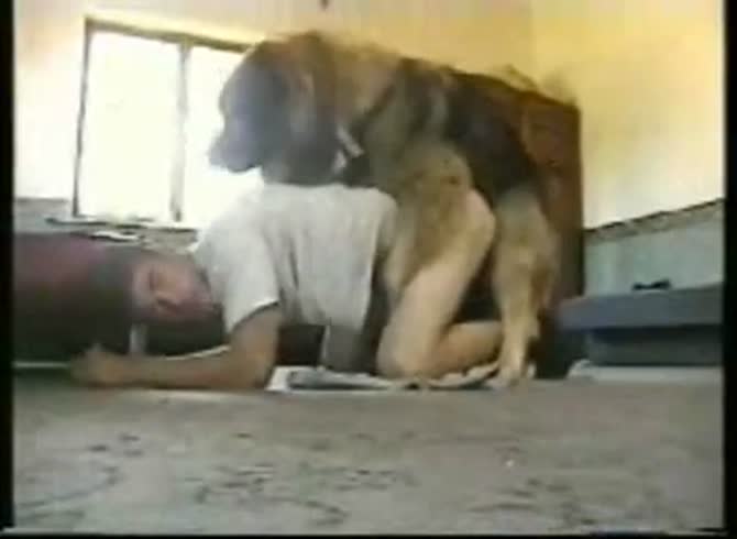 Boy And Dog 8 GayBeast.com - Animal Sex With Man - Extrem Sex and Taboo Porn .