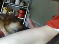 Boy Knotted 1 Gay Beast Com - Bestiality Man