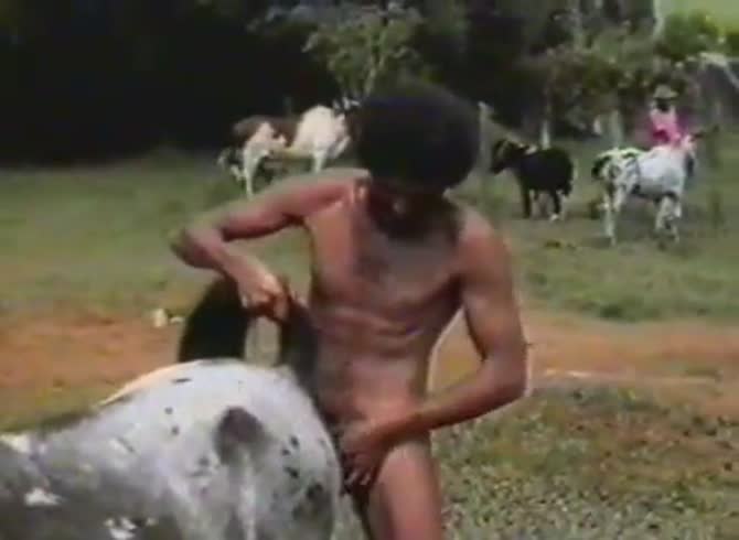 Brazilian Donkey Mare GayBeast.com - Beastiality Sex Tube With Men - Extrem  Sex and Taboo Porn.