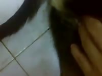 Brincando Com Ela GayBeast Rip - Man Fucks Animal