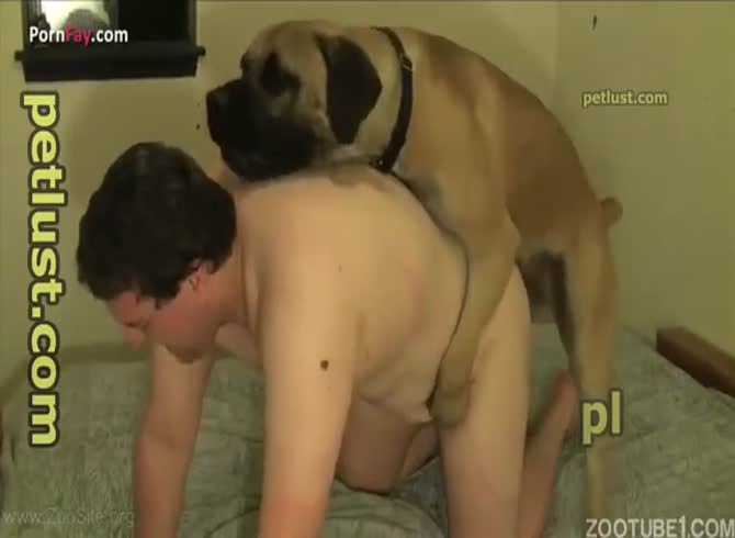 Brown Dog Decides To Fuck This Chubby Ass - Extrem Sex and Taboo Porn.