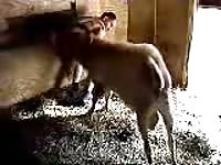 Buck Fuck