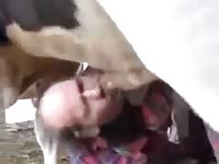 Bull Fuck GayBeast Rip - Animal Men