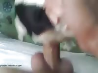 Man Fucks Animal Cat Porn | Sex Pictures Pass