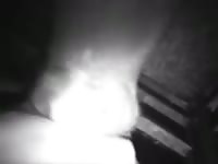 Calf Blows GayBeast.com - Zoophilia Porn With Dude - Extrem ... 
