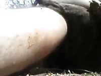 Chub Fucks Bitch Hard GayBeast.com - Man Fucks Pet