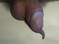 Cock Worm GayBeast Rip - Bestiality Men