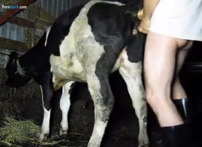 Janvaro Ki Sexy Video Hq - Cow Fick Film - Extrem Sex and Taboo Porn.