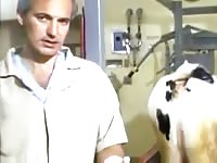 Cow Pee Learn Gay Beast Com - Men Fucks Animal