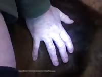 Creampie Boy GayBeast - Bestiality Men