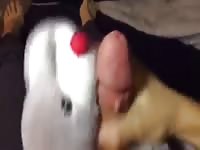 Cum In Stuffed Animal GayBeast Rip - Man Fucks Pet