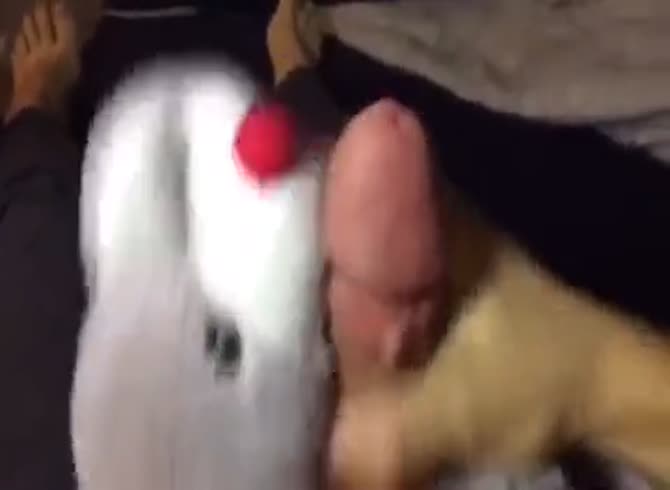 Sex Toy Stuffed Animal - Cum In Stuffed Animal GayBeast Rip - Man Fucks Pet - Extrem Sex and Taboo  Porn.