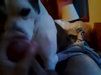 Cum Loving Licking GayBeast.com - Zoophilia Porn Tube With Dude