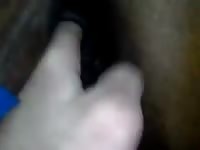 Cum On Her Pussy 2 GayBeast Rip - Bestiality Porn Movie With Dude