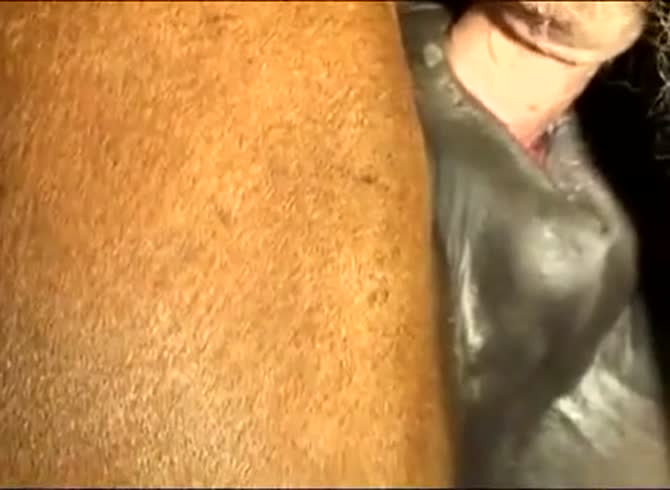 Horse cum inside