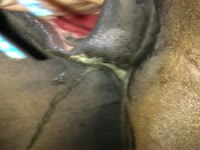 Man Fucks Female Horse - Free Porn Video - Zoo Porn Horse Sex - ApornTV Page 14