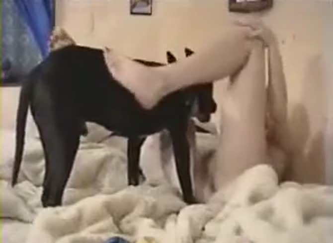 670px x 490px - Amateur mature enjoy dog sex - Zoo Porn Dog Sex, Zoophilia
