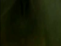 myhash/mp4/5e86ee38caad1Bestiality Compilation.mp4-3.jpg
