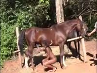 Horse Porn Ebony