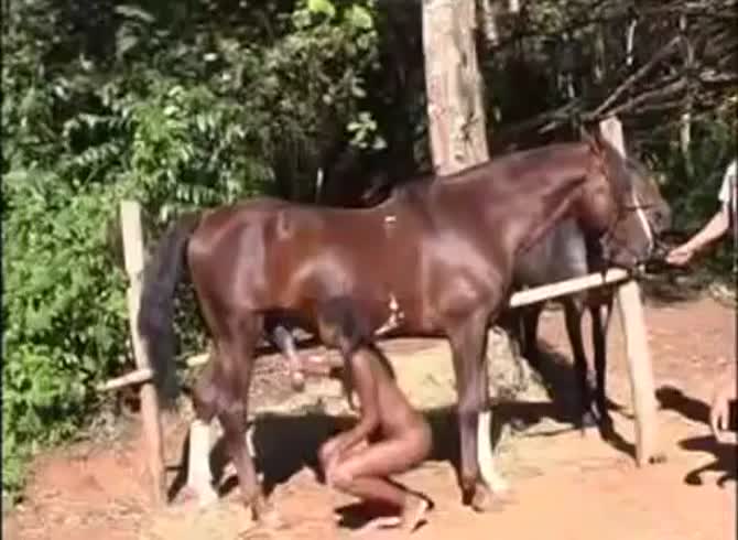 Xxx Nigro Horse - C700 New Young Superb Ebony Model 1st Horse Sex FULL! - Zoo Porn Horse Sex,  Zoophilia