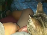 Lamelona cat - Zoo Porn Men, Zoophilia