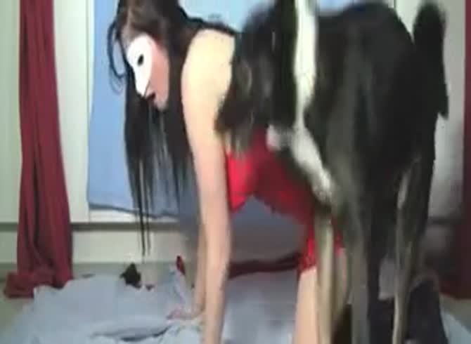 Webcam Dog Porn - Masked brunette webcam dogsex - Zoo Porn Dog Sex, Zoophilia
