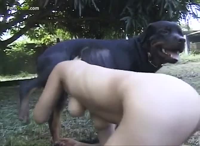 Outdoor dog XXX - Zoo Porn Dog Sex, Zoophilia