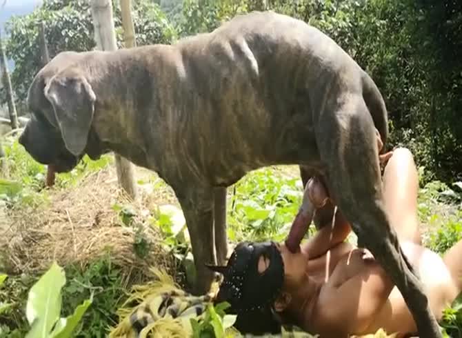 Outdoor dog porn - Zoo Porn Dog Sex, Zoophilia