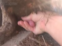 Free Porn Video - Zoophilia - ApornTV Page 96
