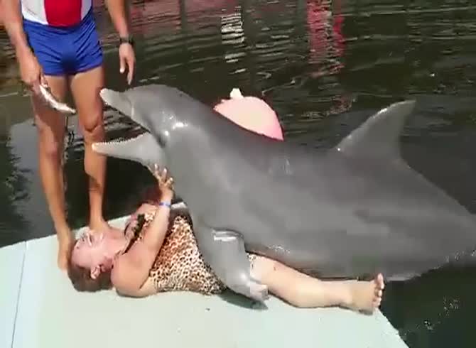 Rare video - Dolphin humping woman - Zoophilia