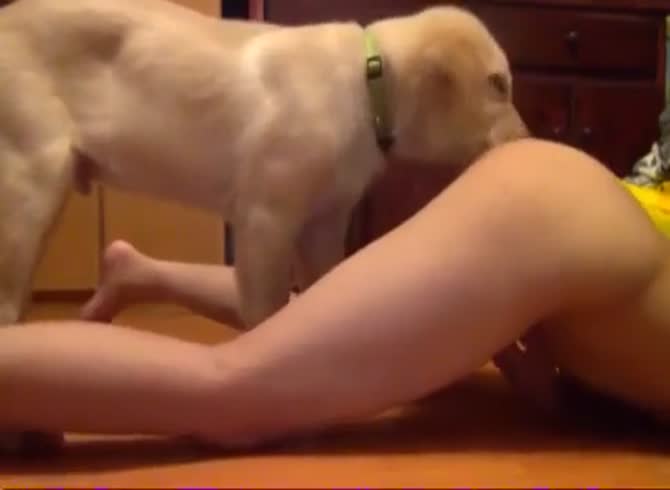 Teen girl gives her pussy to her puppy II part - Zoophilia