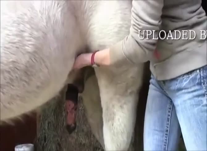Dick Horse Cock Porn - Girl Grab Horse Cock In Ounlic Free Porn Young Chubby Country Girls â€“ Ooh  la lÃ¡!
