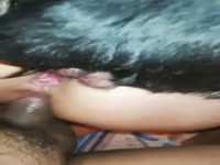 Video do Marcelo - Zoophilia